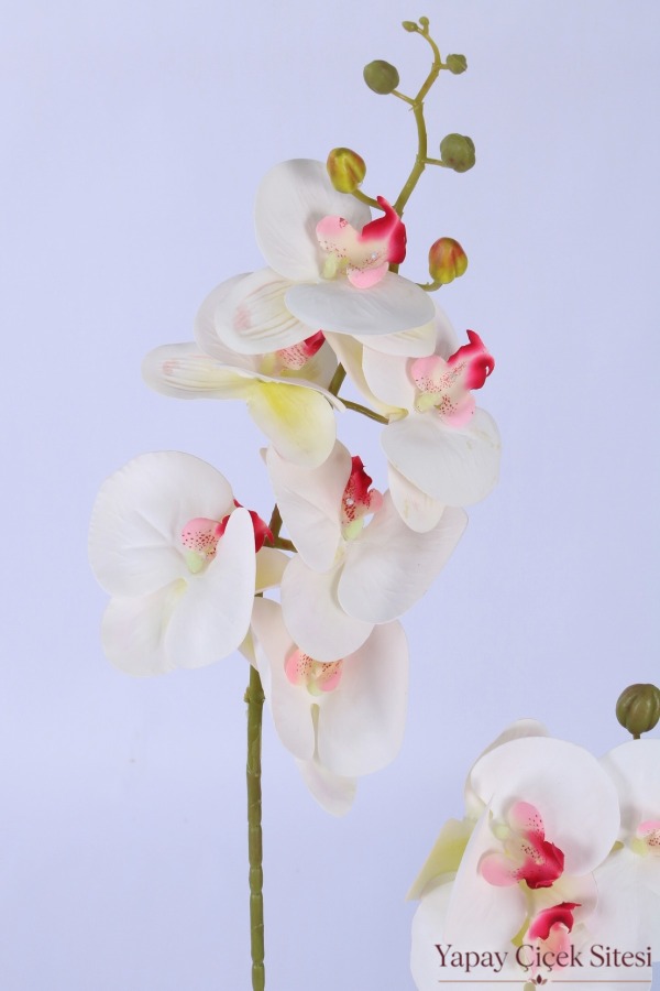 Yapay 2'li Premium Orkide Dalı 90 cm Beyaz Pembe - 3