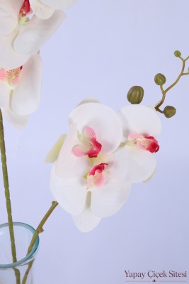Yapay 2'li Premium Orkide Dalı 90 cm Beyaz Pembe - 4