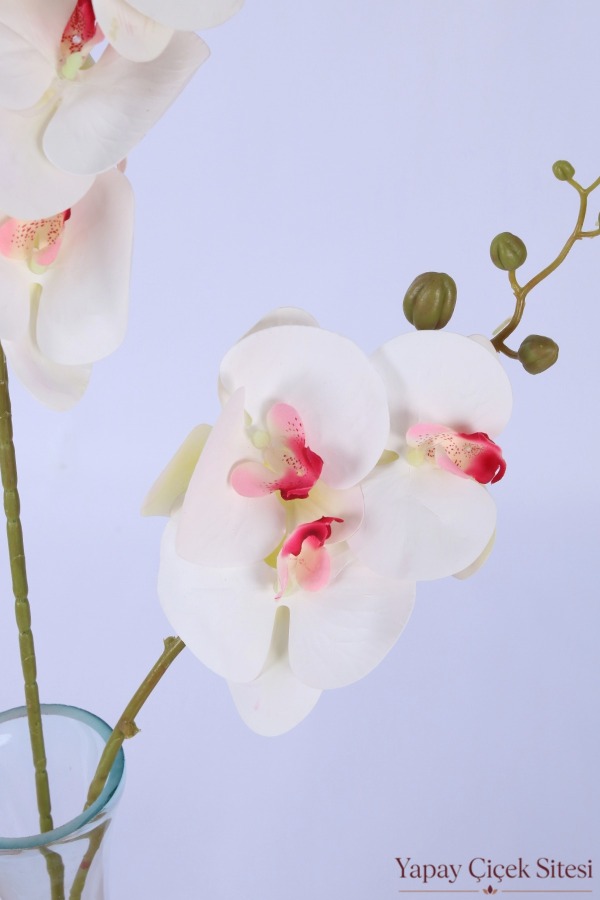Yapay 2'li Premium Orkide Dalı 90 cm Beyaz Pembe - 4