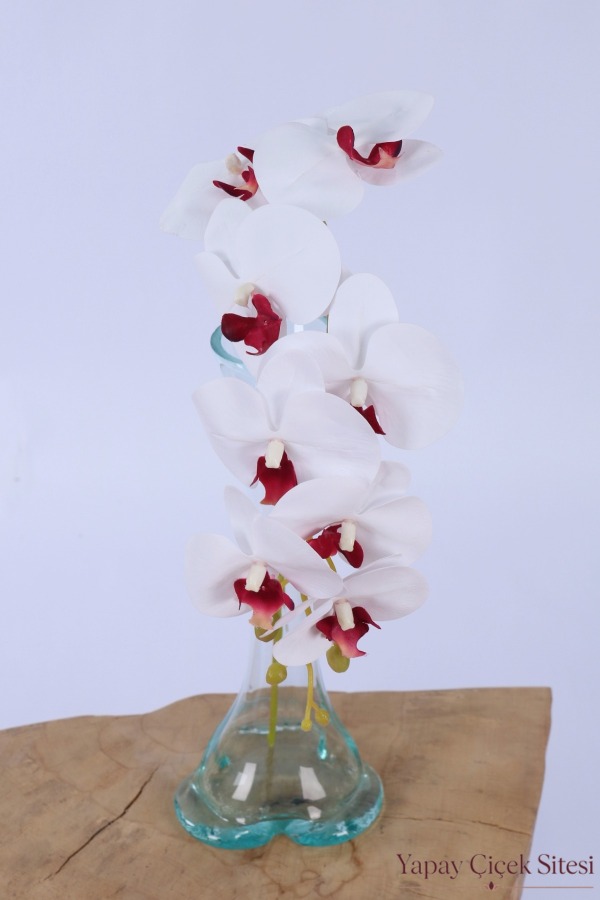 Yapay İri Kandilli Islak Dokuda Orkide Dalı 85 cm Beyaz Bordo - 2