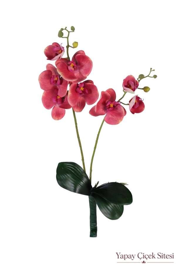 Yapay Islak Dokulu 2'li Orkide 55 cm Koyu Fuşya - 1