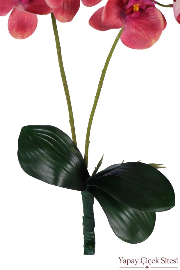 Yapay Islak Dokulu 2'li Orkide 55 cm Koyu Fuşya - 3