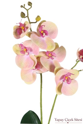 Yapay Islak Dokulu 2'li Orkide 55 cm Somon Pembe - 2