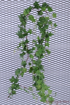 i Yapay Kaliteli Hedera Helix İp Sarmaşık 180 cm - 3