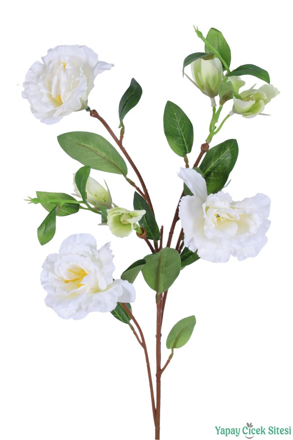 Yapay Lisyantus Dalı 70cm Beyaz - 3