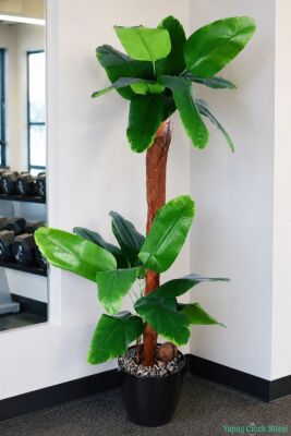 Siyah Saksıda Yapay Muz Ağacı 136cm Yeşil - 2
