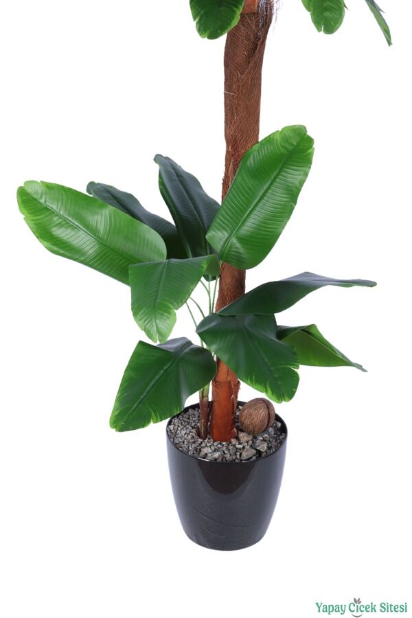 Siyah Saksıda Yapay Muz Ağacı 136cm Yeşil - 3