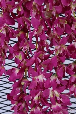 Yapay Salkım Wisteria Erguvan Dalı 70 cm Mor - 3