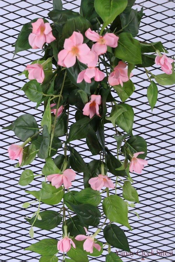 Yapay Sarkıt Begonya Çiçeği Sarmaşığı 85 cm - Pembe - 2