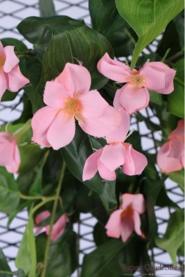 Yapay Sarkıt Begonya Çiçeği Sarmaşığı 85 cm - Pembe - 4