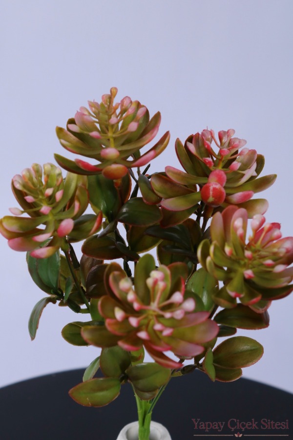 Yapay Sukulent Demeti 30 cm Pudra Pembe - 2