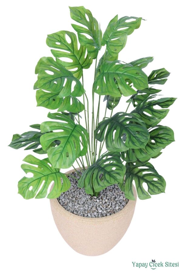 Yapay Deve Tabanı Ağacı 95 cm Bohem Krem Saksıda - 3