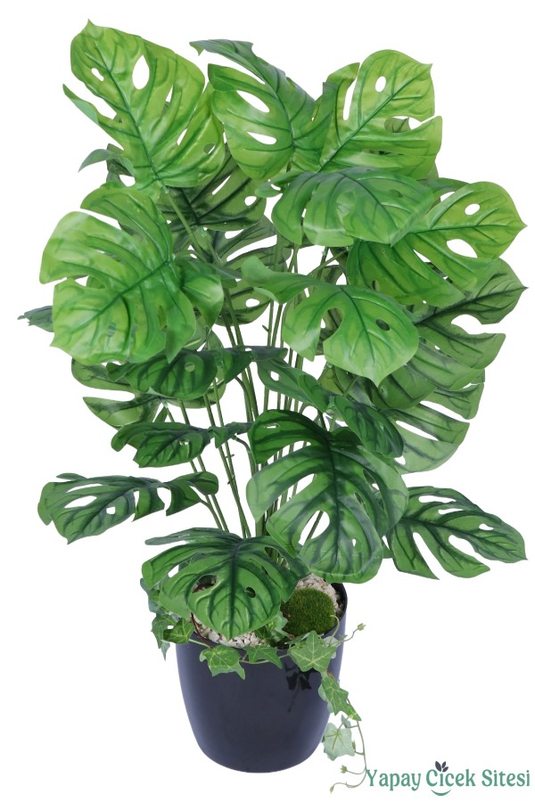 Yapay Deve Tabanı Ağacı 85 cm - 1