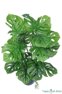 Yapay Deve Tabanı Ağacı 85 cm - 2