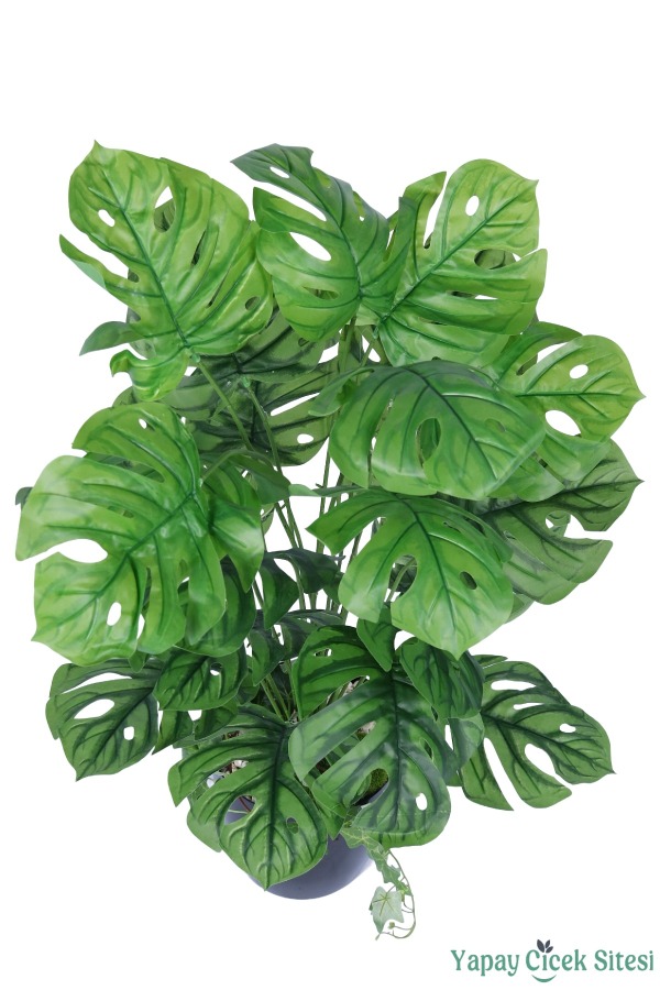 Yapay Deve Tabanı Ağacı 85 cm - 2