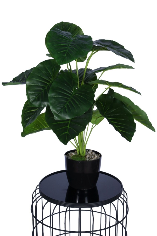 Yapay Difenbahya Bitkisi 65 Cm Koyu Yeşil - 1