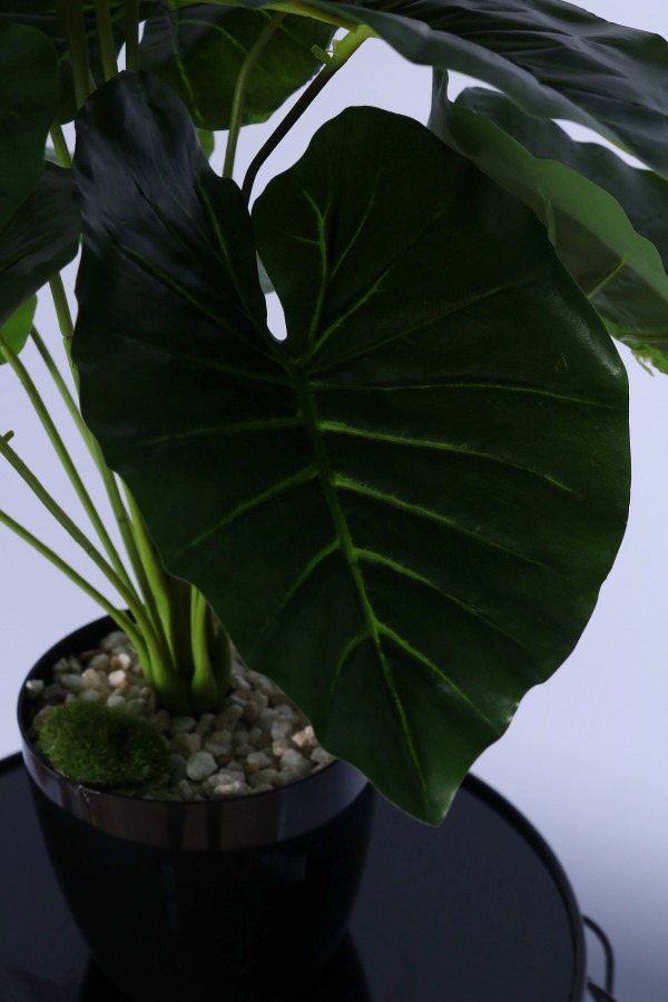 Yapay Difenbahya Bitkisi 65 Cm Koyu Yeşil - 3