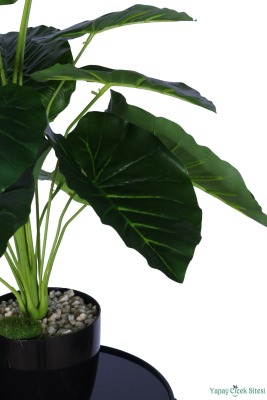 Yapay Difenbahya Bitkisi 65 Cm Koyu Yeşil - 4