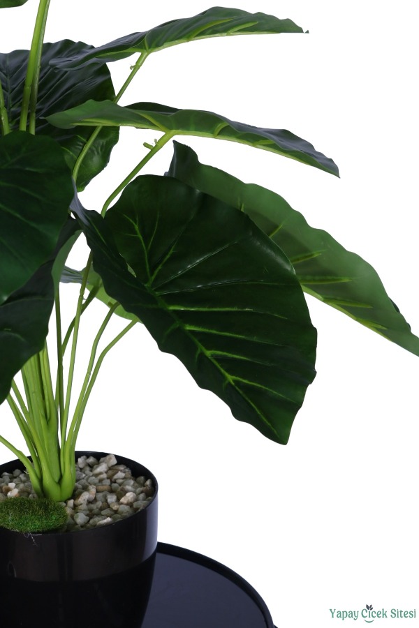 Yapay Difenbahya Bitkisi 65 Cm Koyu Yeşil - 4