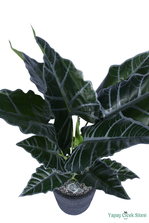 Yapay Fil Kulağı Bitkisi 120 cm Bohem Siyah Saksıda - 2