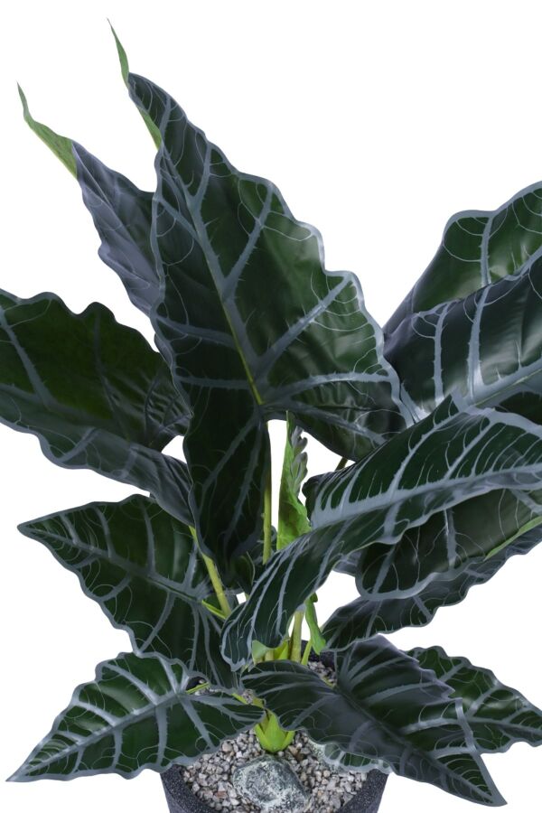 Yapay Fil Kulağı Bitkisi 120 cm Bohem Siyah Saksıda - 3