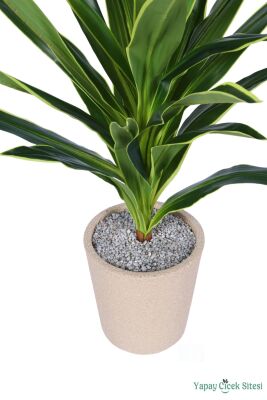 Yapay Kılıç Bitkisi 110 cm Bohem Saksıda Sarı-Yeşil - 2