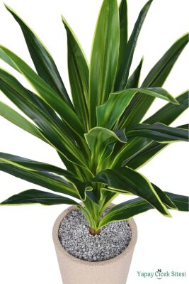 Yapay Kılıç Bitkisi 110 cm Bohem Saksıda Sarı-Yeşil - 3