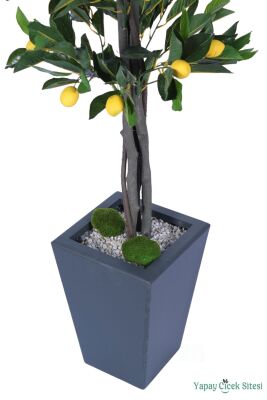 Yapay Limon Ağacı 155 cm Ahşap Saksıda - 4