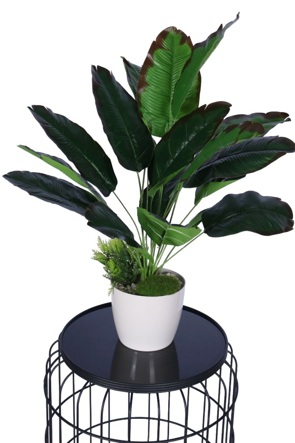 Yapay Mini Muz Tanzimi 65 cm - 1