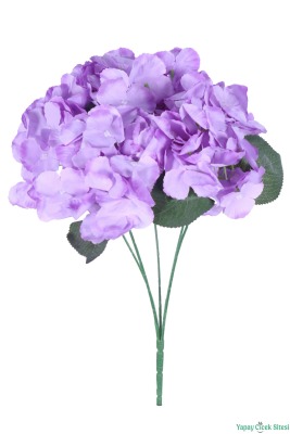 Yapay Ortanca Demeti 5 Dal Mor - 2