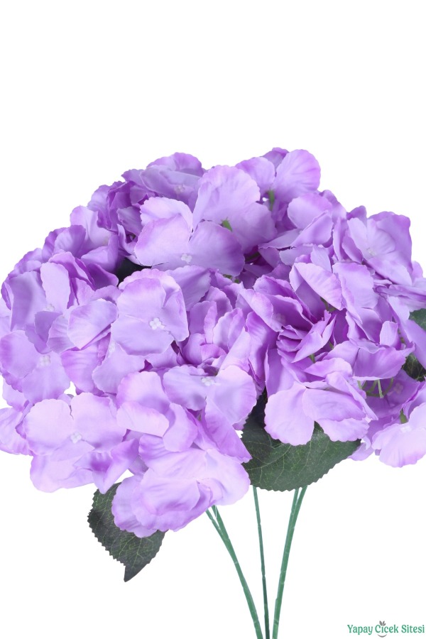 Yapay Ortanca Demeti 5 Dal Mor - 3