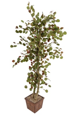 Ahşap Saksıda Yapay Okaliptüs Ağacı 190 cm - 2
