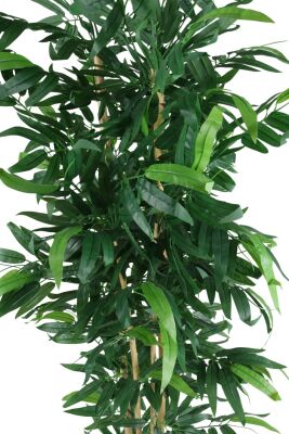 Yapay Premium Geniş Yapraklı Bambu Ağacı 170 cm (Siyah Saksılı) - 2