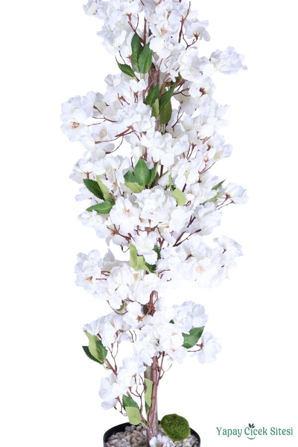 Yapay Sakura Bahar Dalı Ağacı 85 Cm Beyaz - 2