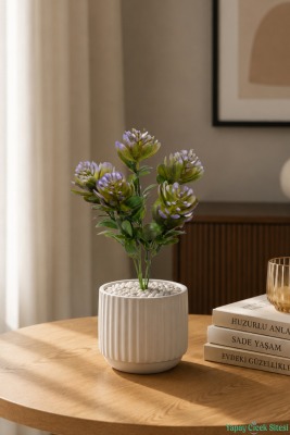 Yapay Sukulent Demeti 30cm Mor - 2