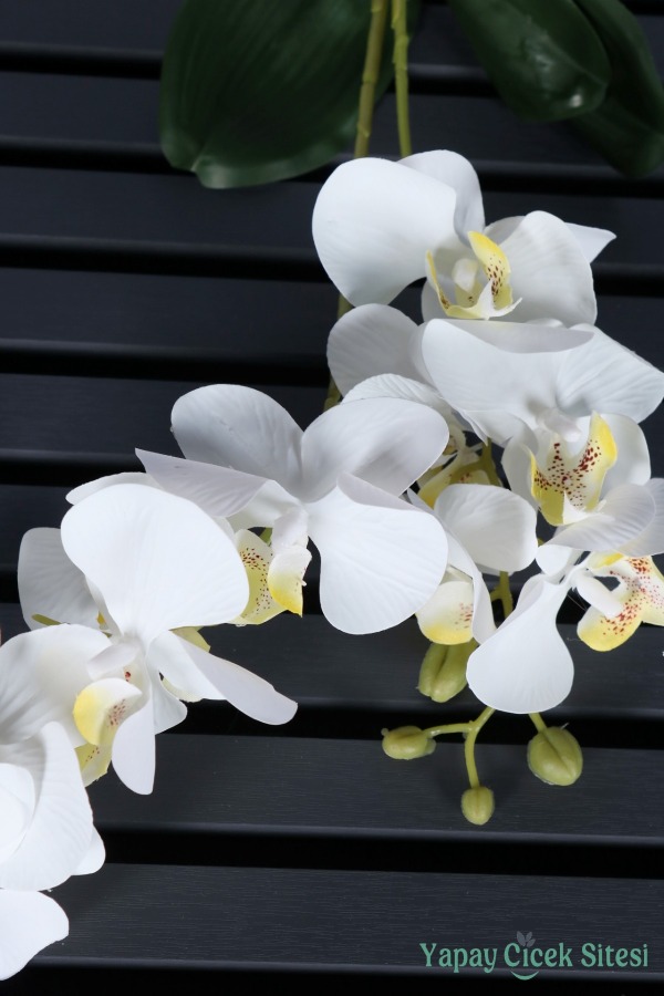 Yapay Yapraklı 2 Dal Islak Orkide Çiçeği Beyaz 55 Cm - 2