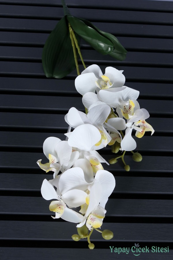 Yapay Yapraklı 2 Dal Islak Orkide Çiçeği Beyaz 55 Cm - 3