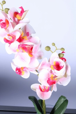 Yapay Yapraklı 2 Dal Islak Orkide Çiçeği Fuşya-Beyaz 55 Cm - 2